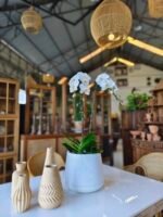 Dining Table SetA - Image 5