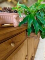 Cabinet 2 Door 2 Drawer - Image 3